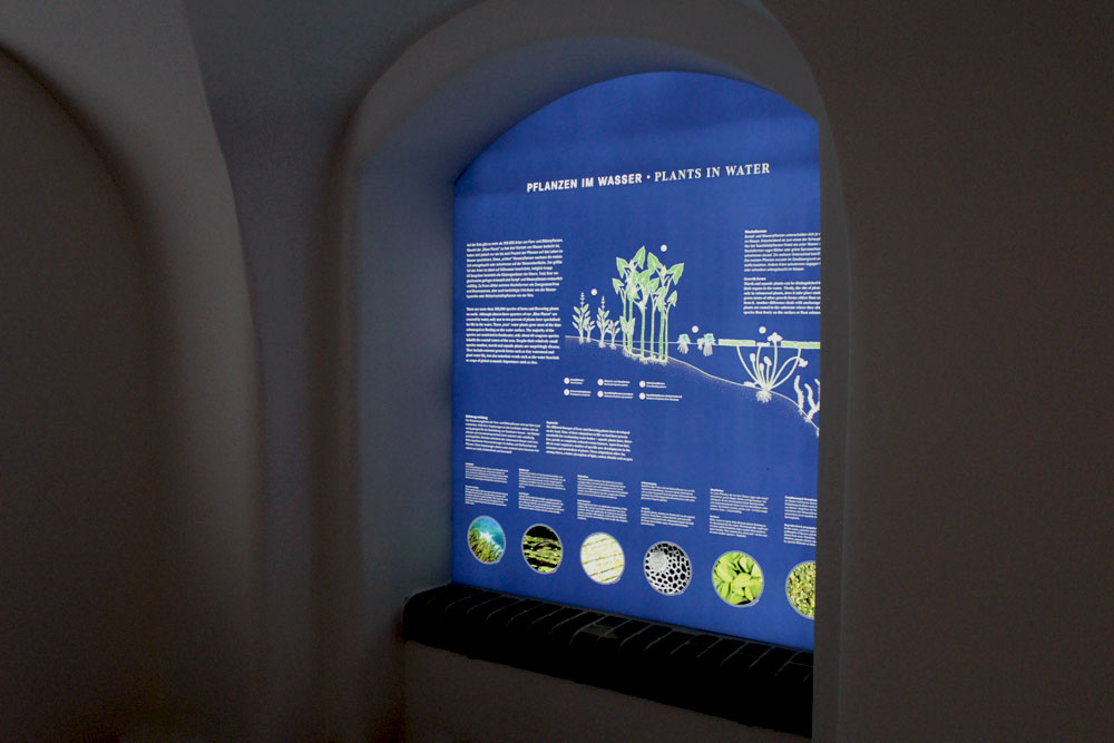 großes Light-Panel im Victoria-Haus, Botanischer Garten Berlin Dahlem