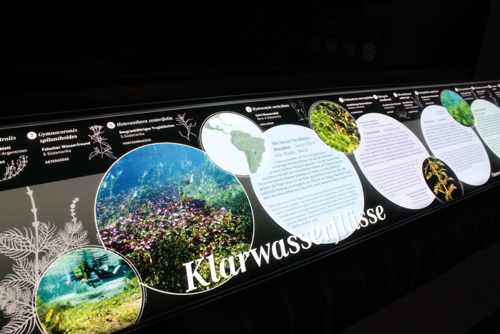 Light-Panel im Victoria-Haus, Botanischer Garten Berlin Dahlem